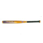 BASEBALL BAT HRM 3