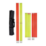 Slalom Pole – Elementary