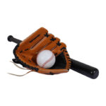 Softball Set