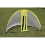 Cricket Training Goals