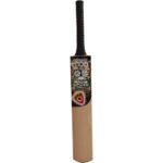 Kashmir Willow Bat B ED