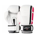BOXING GLOVES BG-0119