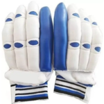 CRICKET GLOVES