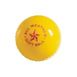 INDOOR SOFT BALL