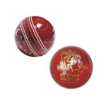 Cricket Practice Ball PC 10