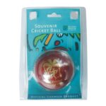 Cricket Promotional Ball PC 14