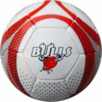 SOCCER DOMESTIC TOY BALL SDB-04
