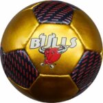 SOCCER DOMESTIC TOY BALL SDB-18