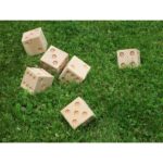 WOODEN DICE