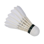 SHUTTLECOCK