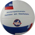 VOLLEYBALL 10