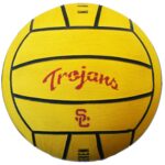 Water Polo Ball 10