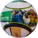 SOCCER PHOTO BALL SPB-06