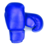 BLUE BOXING GLOVES