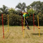 Double Flat Ladder – Premium