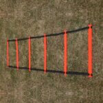 Pro Speed Ladder