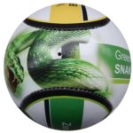SOCCER PHOTO BALL SPB-04