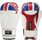 BOXING GLOVES BG-0106