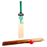 RECYCLE CRICKET