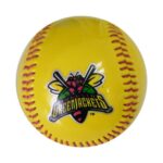 BASEBALL HRM 2