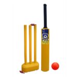 Plastic Cricket Equipments pro-blaster1