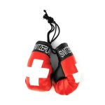 Boxing Gloves HRM027