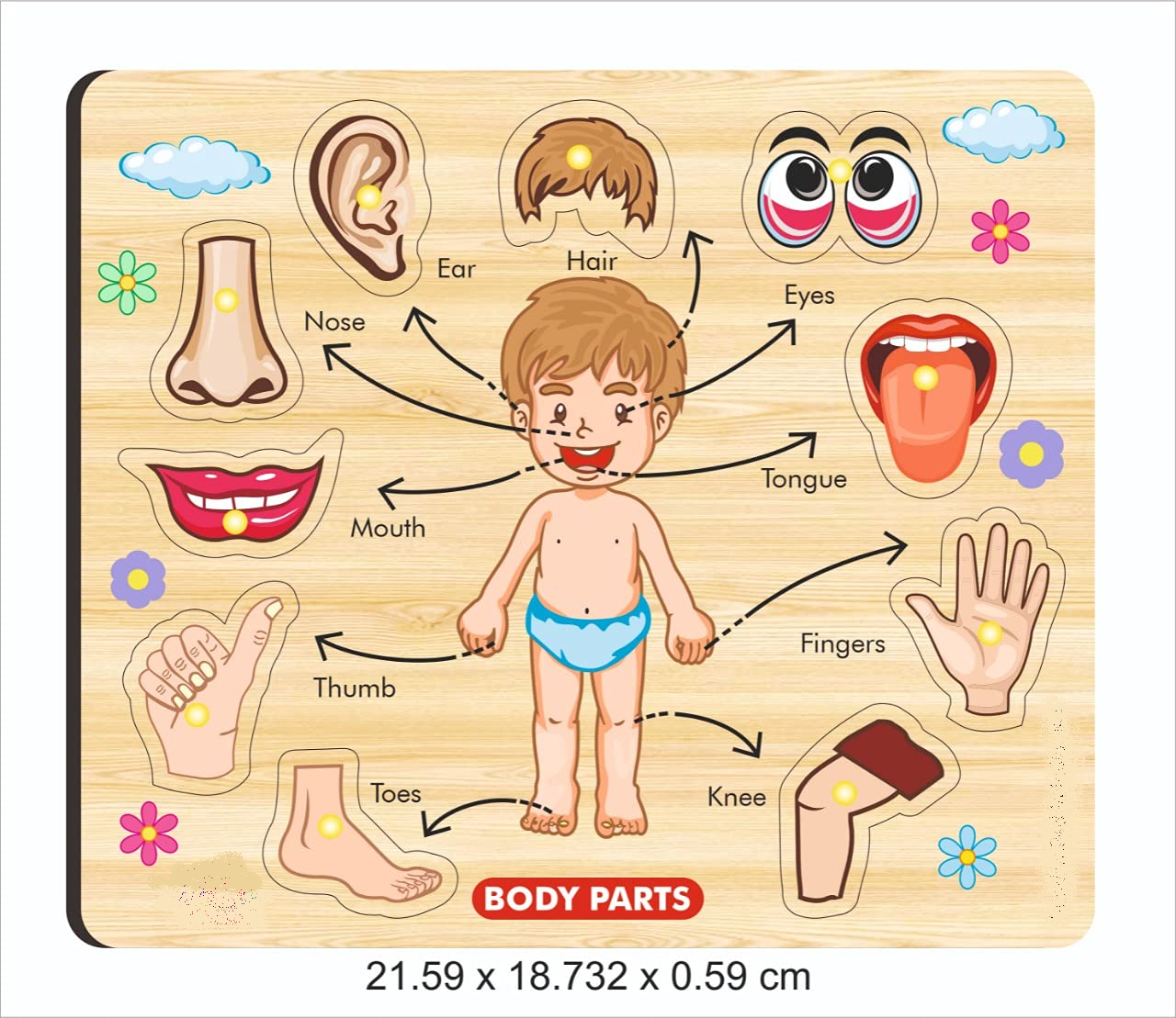 download - 2025-07-16T131020.076