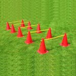Agility Cone Hurdles SE.ACH.111