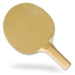 TABLE TENNIS WITH SHUTTLECOCK