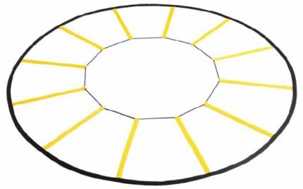 CIRCLE TRAINER LADDER